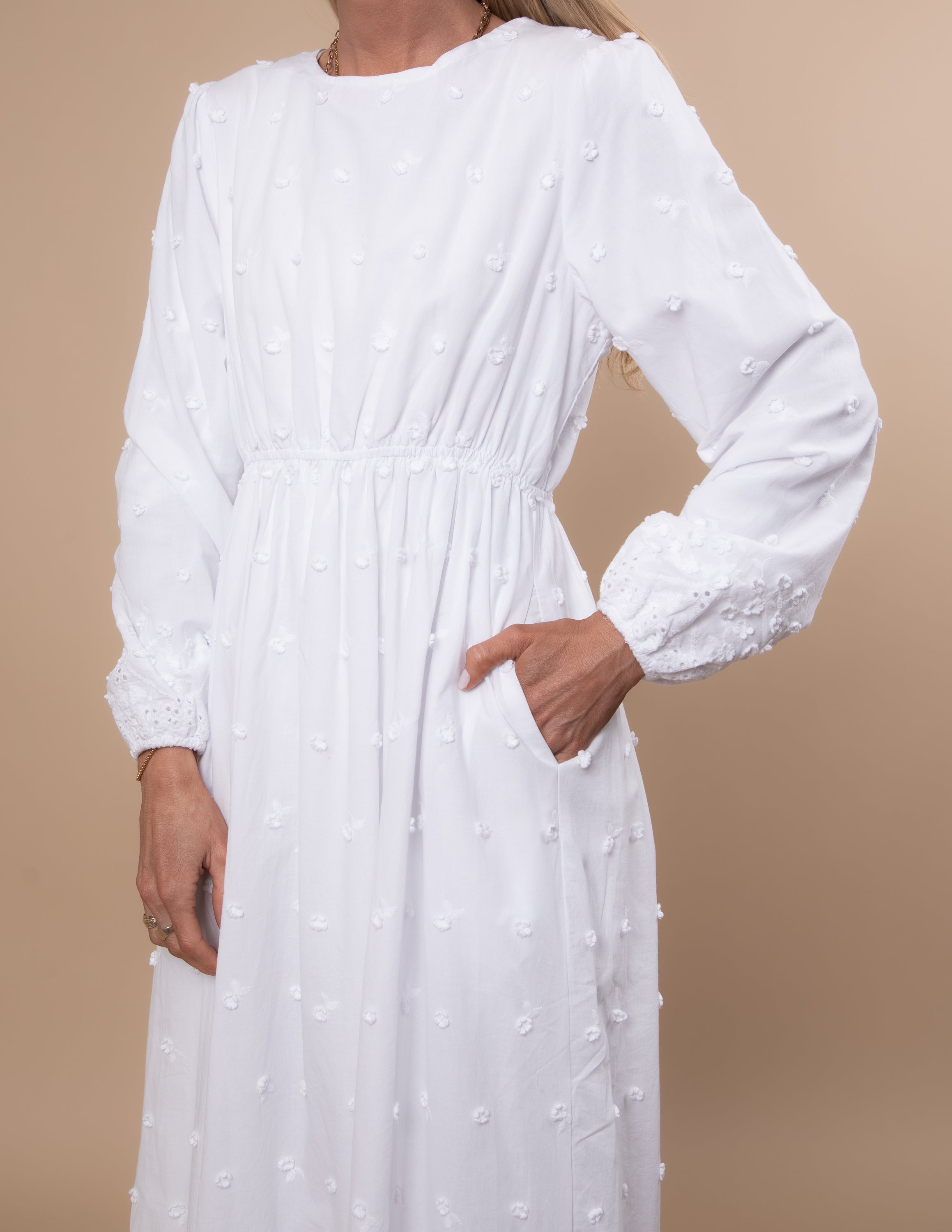 Candace Eyelet Embroidered Dress